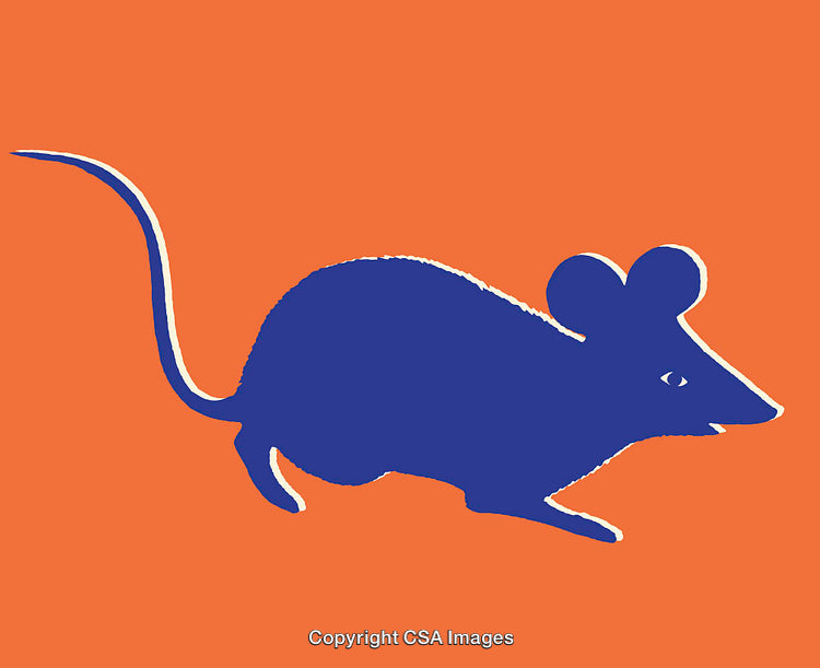 Colorful Silhouette Illustration of a Mouse on an Orange Background