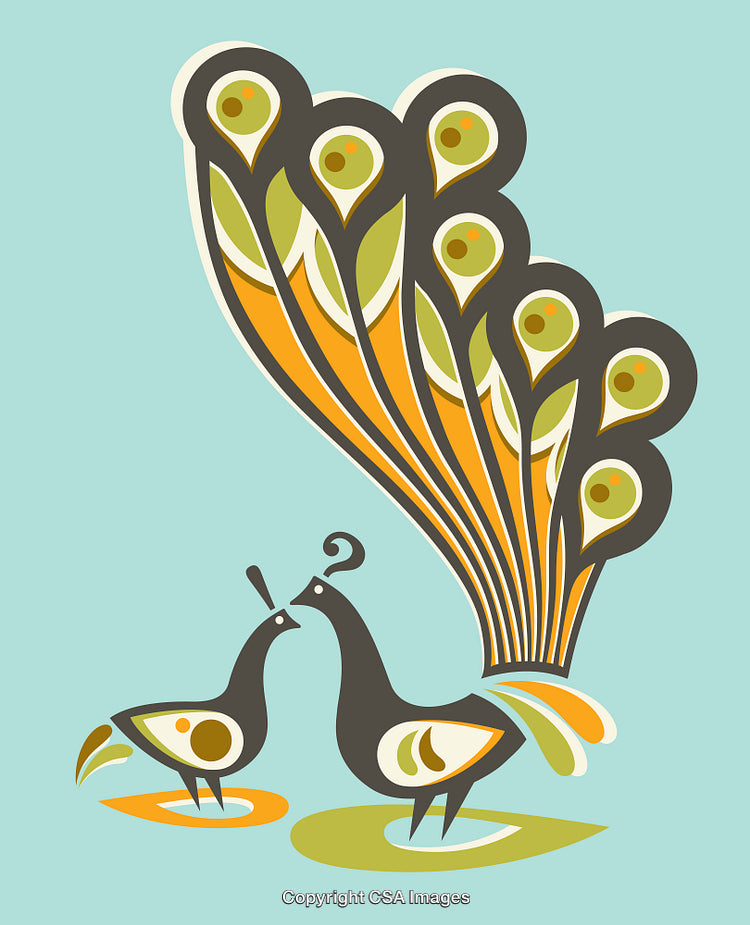 Colorful Decorative Illustration of Two Peacocks in Artistic Style on Blue Background