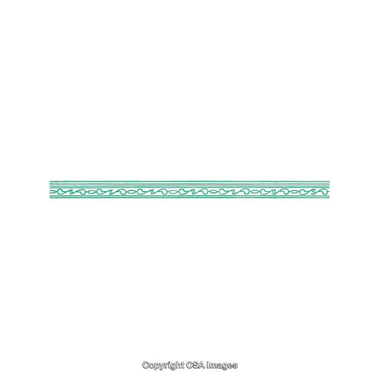 Green Ornamental Line Pattern on a White Background