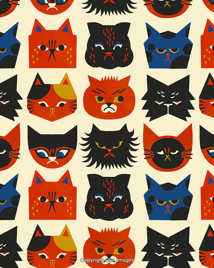 Pattern of Cats