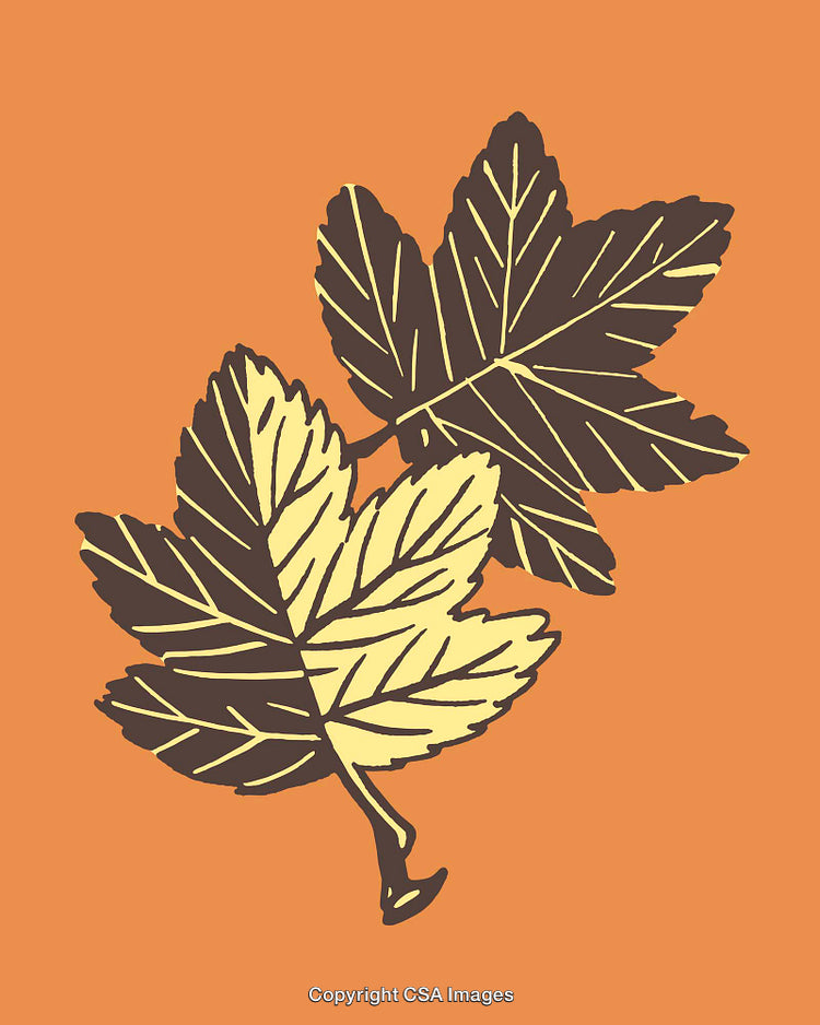 Stylized Illustration of Maple Leaves on an Orange Background