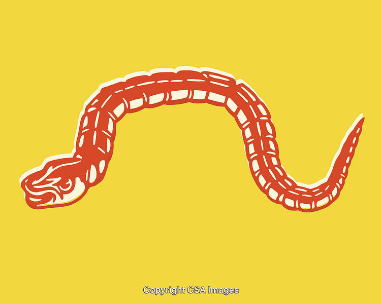 Red Twisting Snake Illustration on Yellow Background with Bold Representation