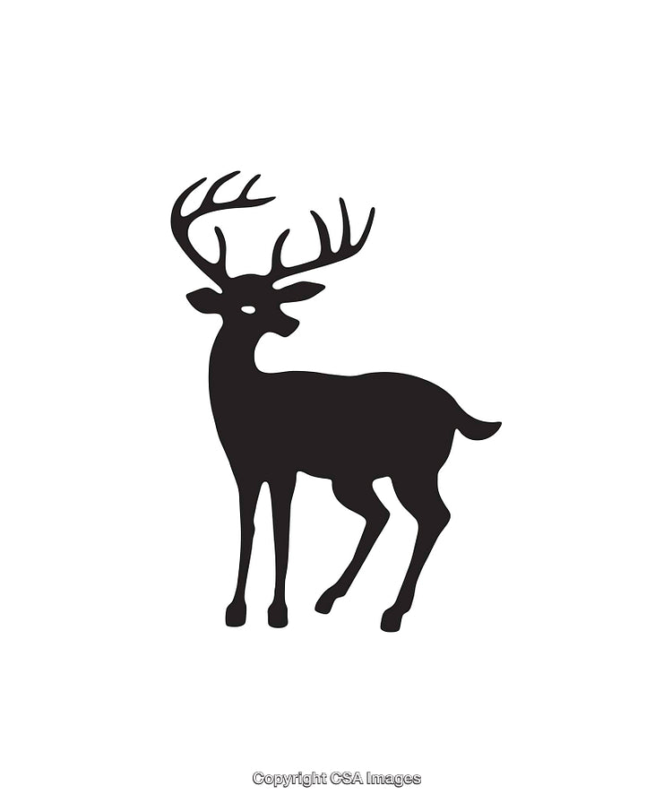 Silhouette of a Deer with Antlers in Black on a White Background