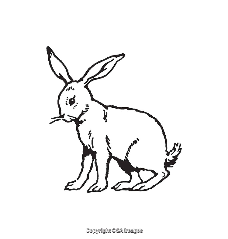 Black and White Line Art Illustration of a Rabbit
