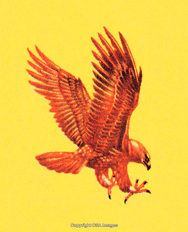Illustrated Hawk in Mid-Flight on a Bright Yellow Background