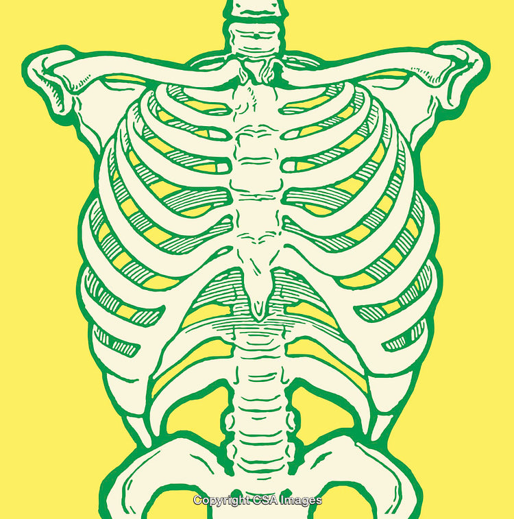 Color Line Art Illustration of a Human Ribcage on a Yellow Background