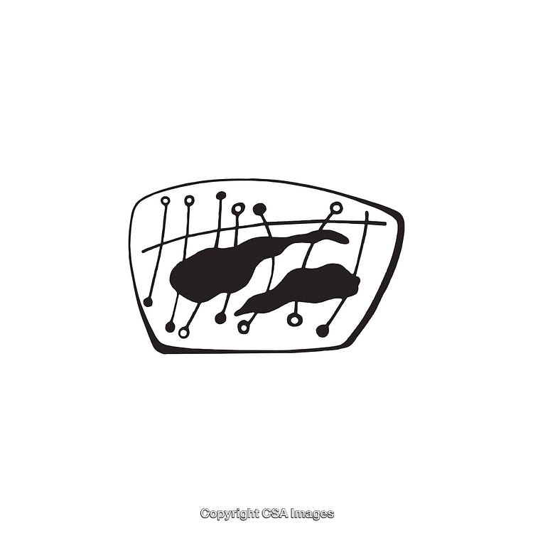 Abstract Black and White Dingbat with Organic and Geometrical Patterns