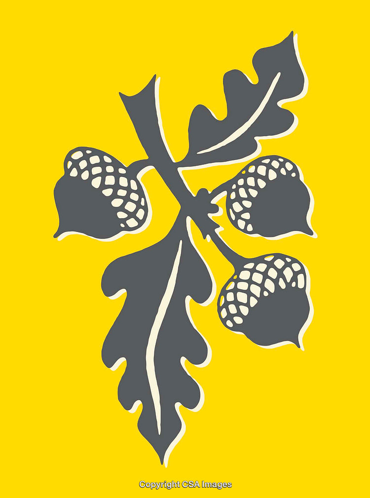 Oak Leaf and Acorns Illustration with Yellow Background