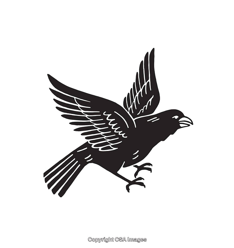 Black and White Line Art of Flying Crow Illustration
