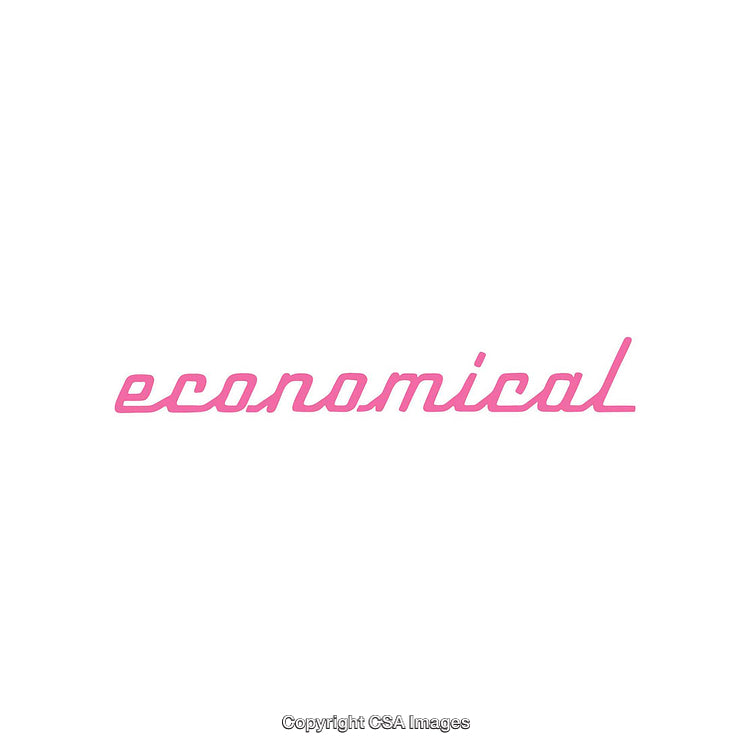 Text Design Featuring the Word 'Economical' in Pink Lettering on White