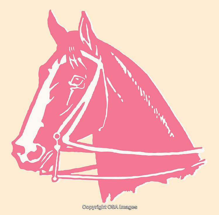 Pink and White Horse Illustration in Minimal Art Style