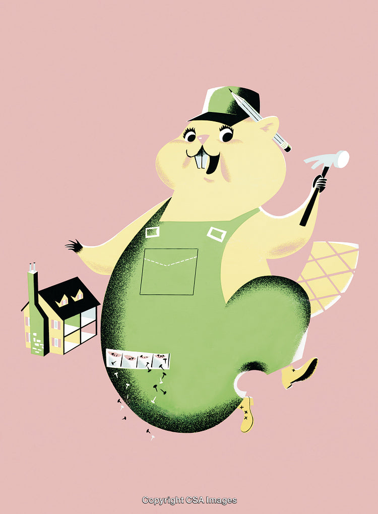 Illustration of Cartoon Beaver Construction Worker with Tools and a Building