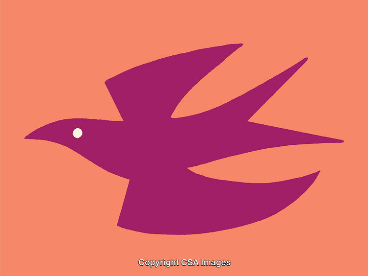 Purple Bird Silhouette Against Solid Colored Background