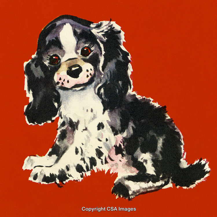 Illustration of a Adorable Black and White Puppy on a Vibrant Red Background