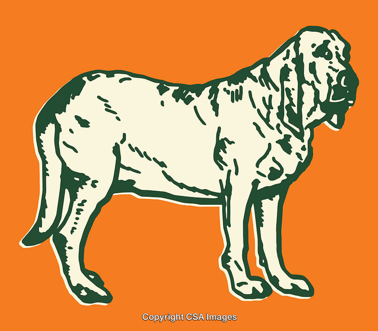 Colorful Line Art Illustration of a Dog Standing on an Orange Background