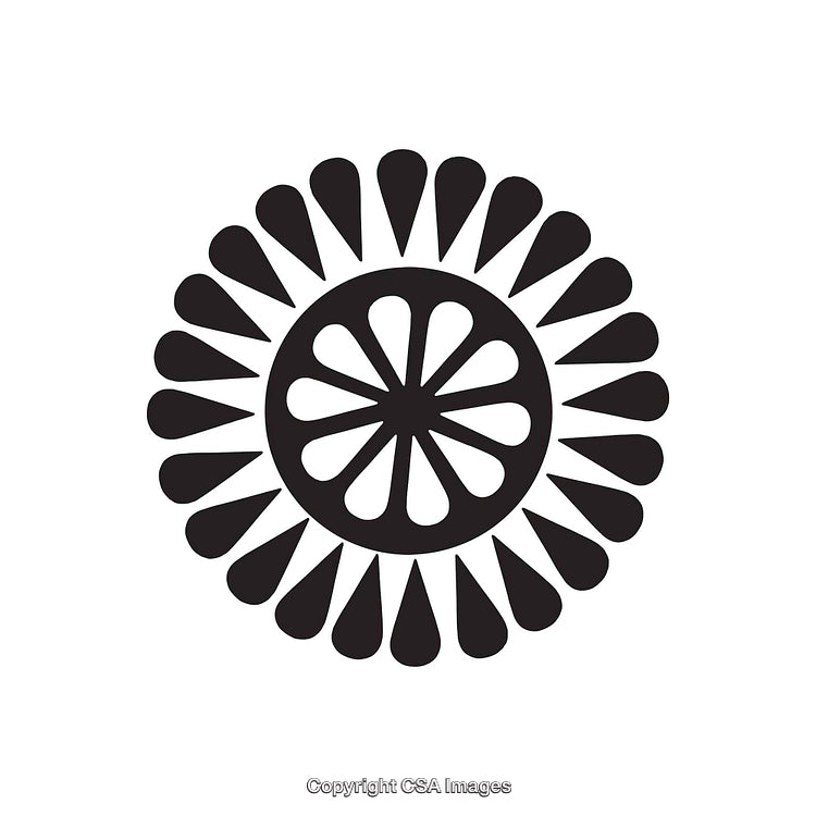 Black and White Abstract Dingbat in Circular Decorative Design