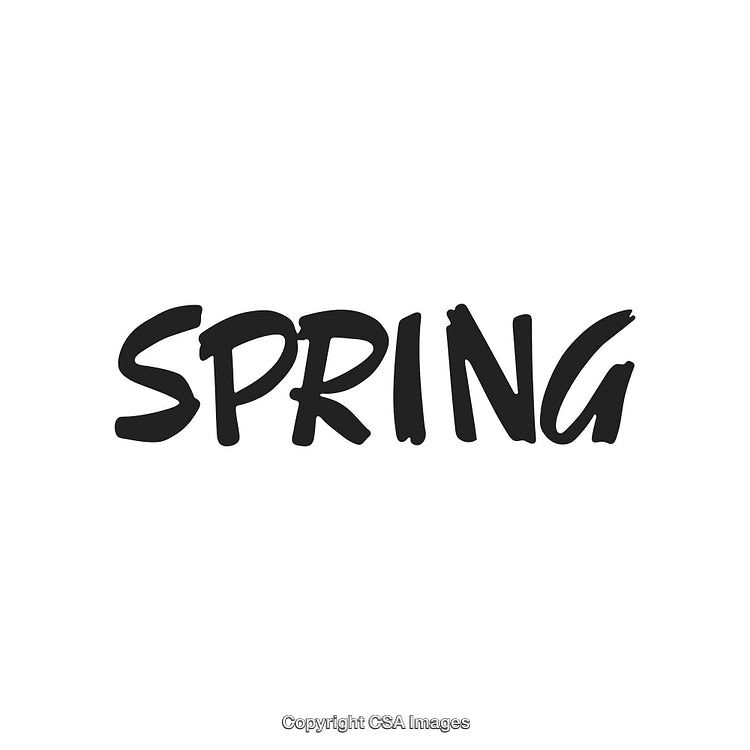 Handwritten Spring Typography Text with Modern Stylish Font