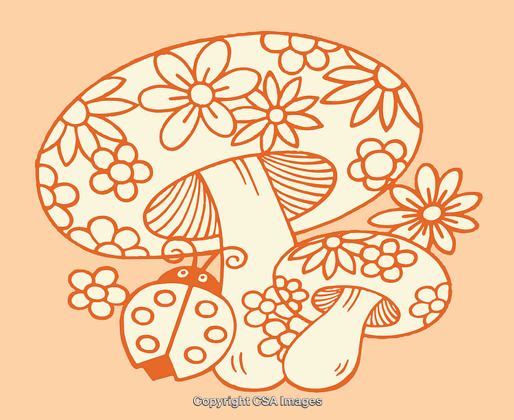 Colorful Line Art Mushroom with Flowers and Ladybug Illustration