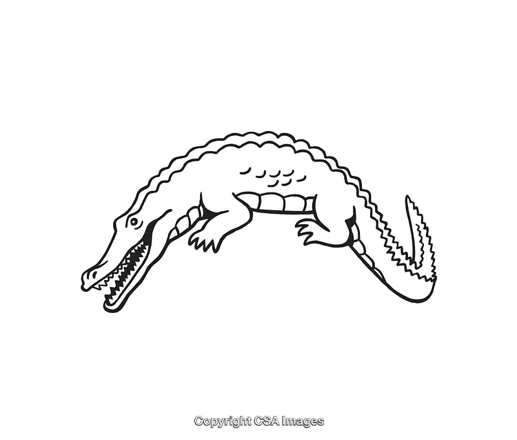 Black and White Line Art Illustration of a Crocodile