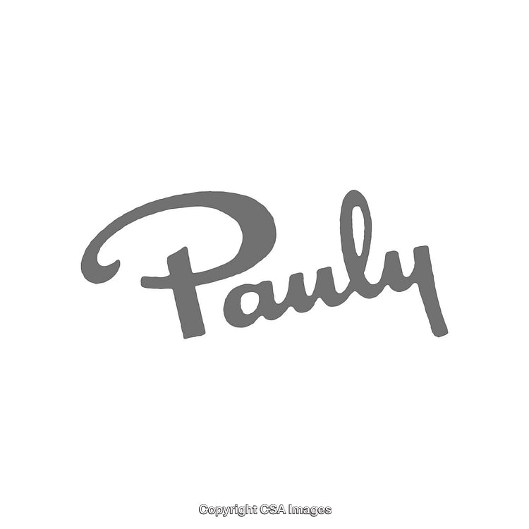 Stylish Minimalist Gray Script Text in Modern Calligraphy Design