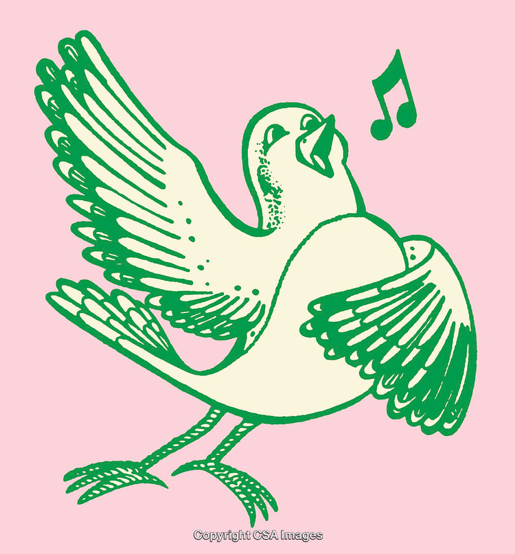 Green Line Art of a Singing Bird with Music Notes on Pink Background