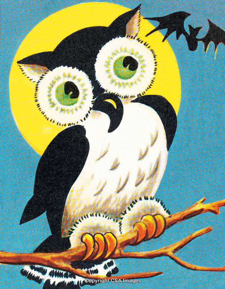Cartoon Owl Sitting on a Tree Branch with a Moonlit Background