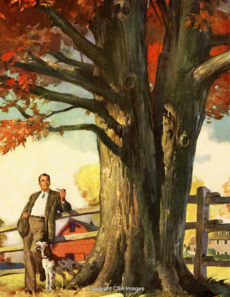 Man and Dog Relaxing by an Old Tree on a Rustic Farm