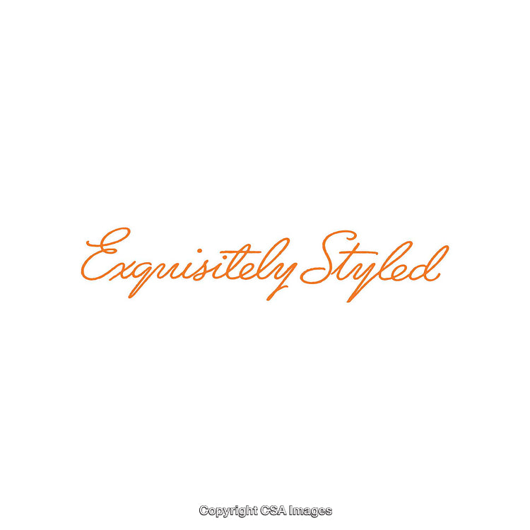 Elegant Orange Script Text On a Clean White Background