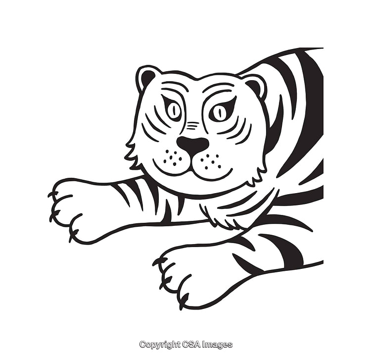 Black and White Line Art of a Tiger Illustration