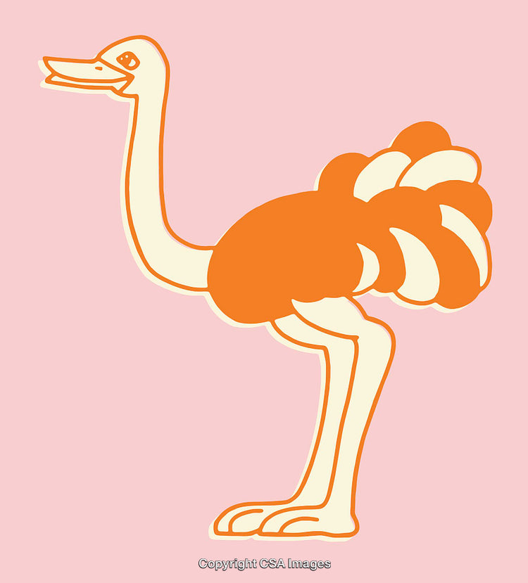 Colorful Ostrich Illustration in Cartoon Style on a Pastel Background