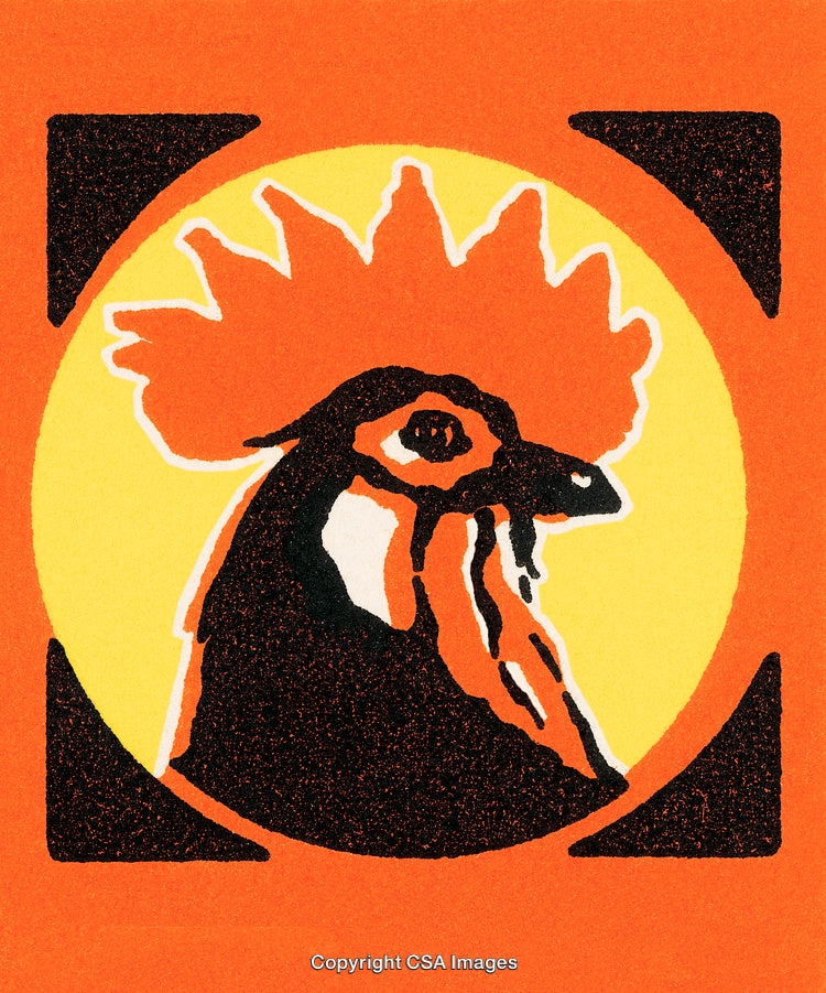Bold Illustration of a Rooster with Vibrant Colors and a Retro Style