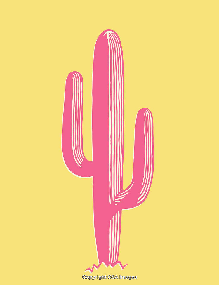 Pink Cactus Illustration on Bright Yellow Background with Vertical Lines