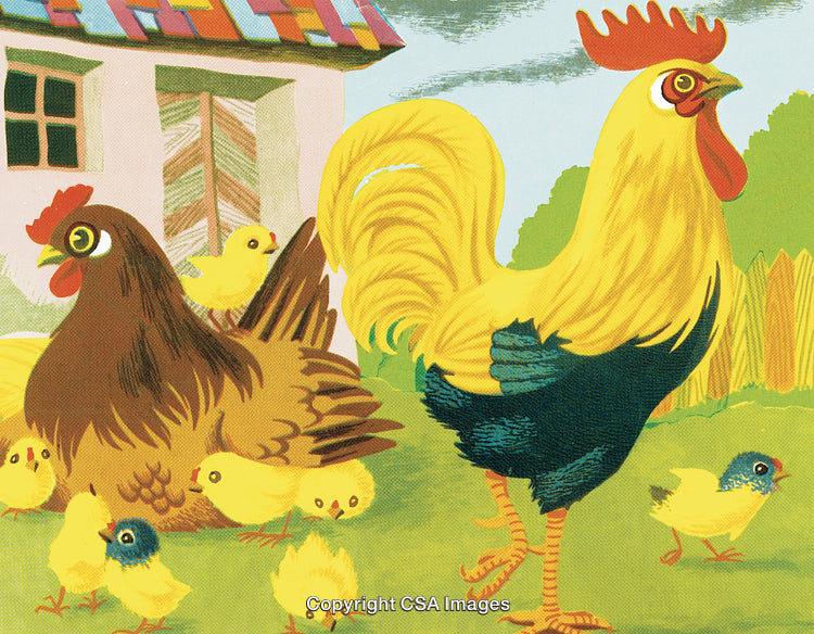 Colorful Illustration of a Rooster, Hen, and Chicks on a Farmyard