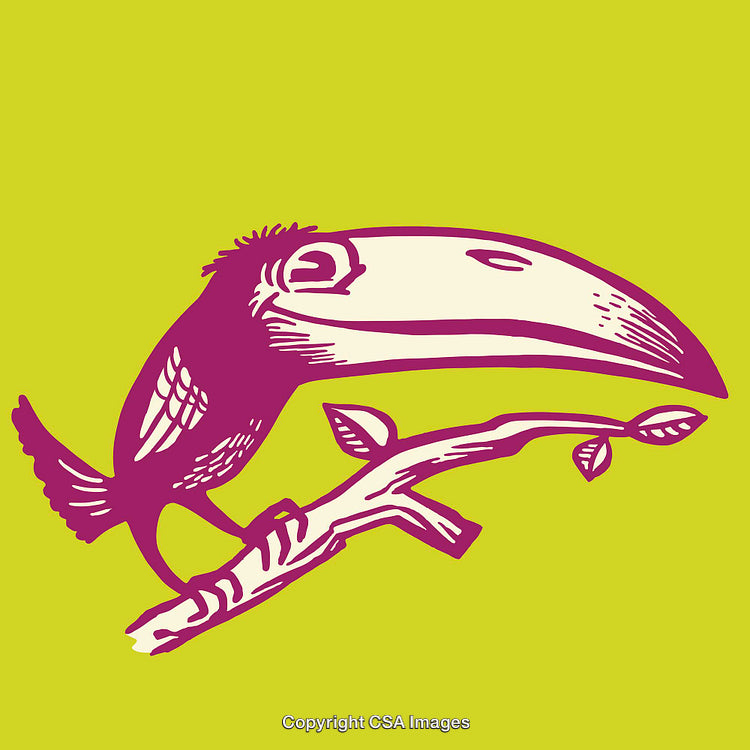 Colorful Cartoon Illustration of Toucan Perched on Branch