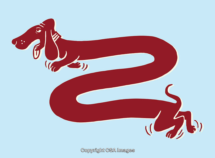 Whimsical Illustration of a Long Dog in Playful Red Line Art
