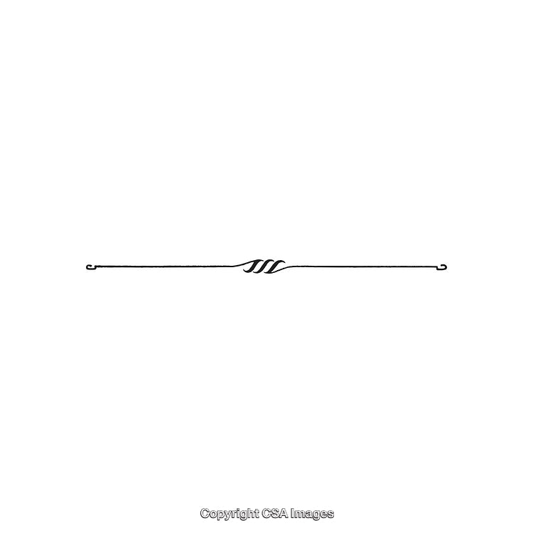 Ornamental Black and White Decorative Design Element with Intricate Line Swirl