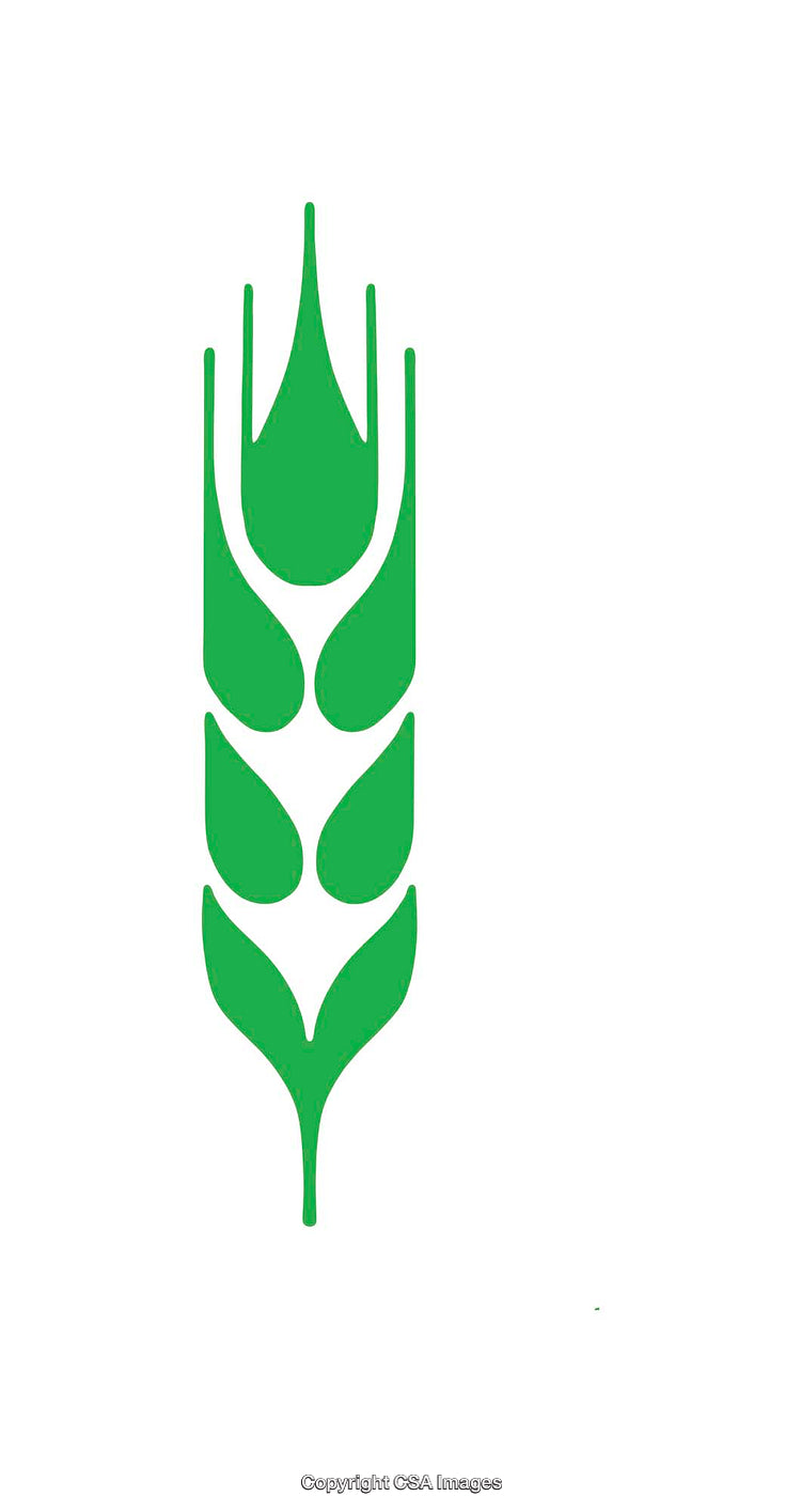 Stylized Green Wheat Icon on White Background