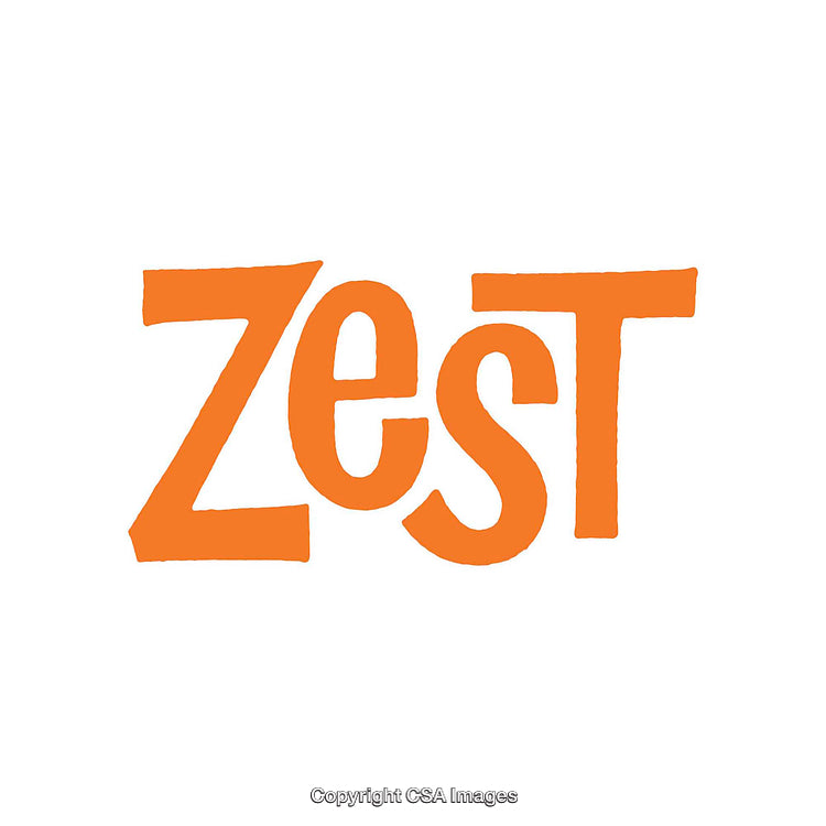Bright Orange Text Reading 'Zest' on a White Background