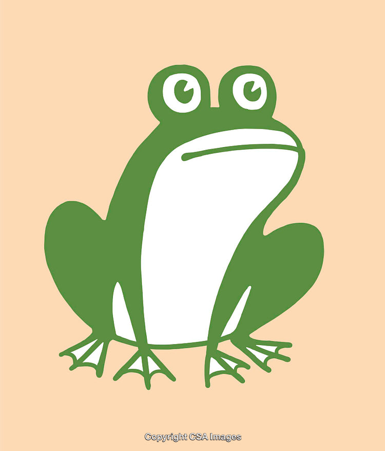 Colorful Line Art Illustration of a Cartoon Frog on Simple Background