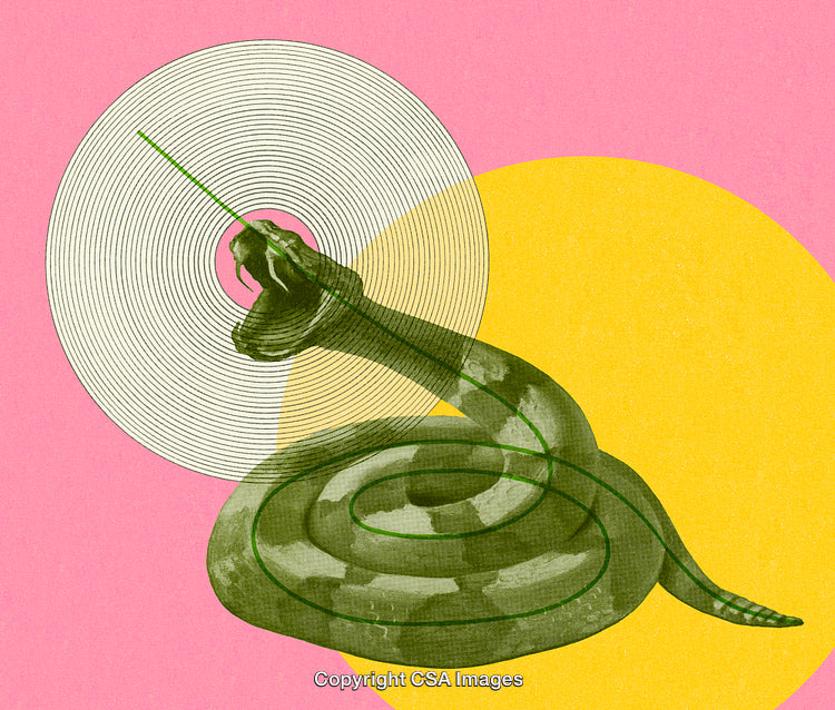 Abstract Snake Illustration with Vibrant Colors and Circular Design Elements