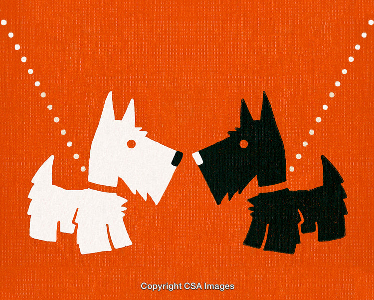 Stylized Illustration of Two Contrasting Scottie Dogs on Orange Background