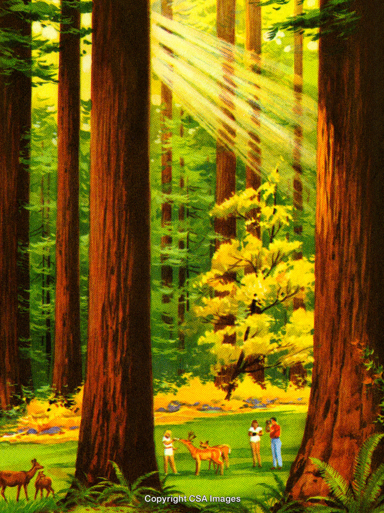 Nature Scene in a Forest Clearing With Deer and Observers Among Tall Trees