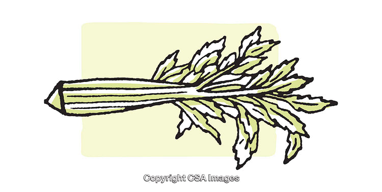 Illustration of a Celery Stick with Leaves in Artistic Style