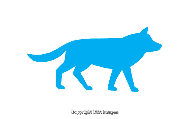 Blue Silhouette of a Dog in a Standing Position on White Background