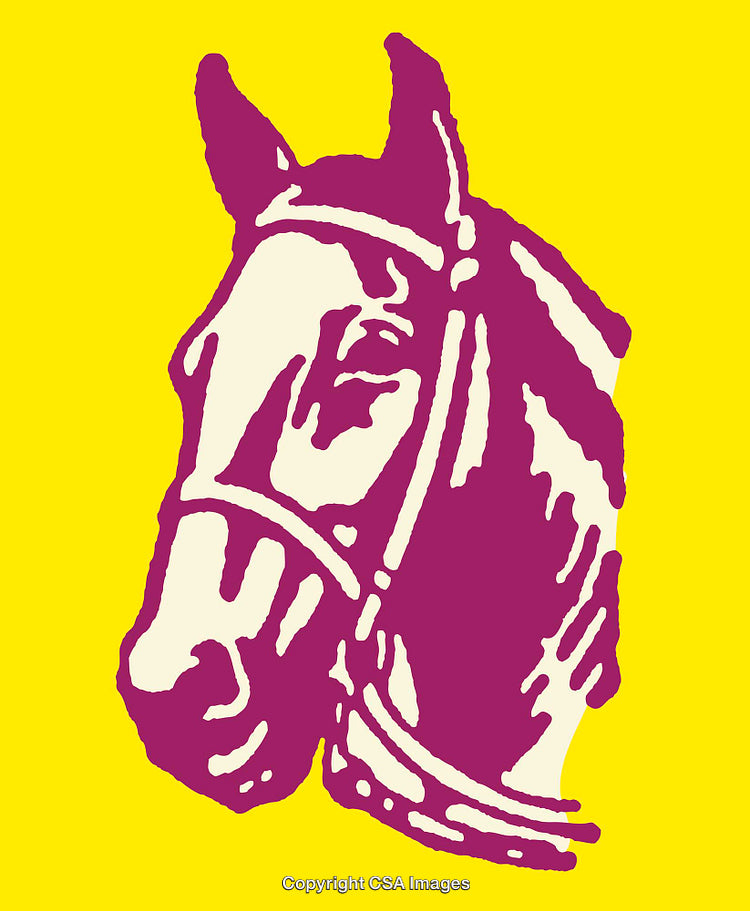 Colorful Line Art Illustration of Horse Head with Bold Background