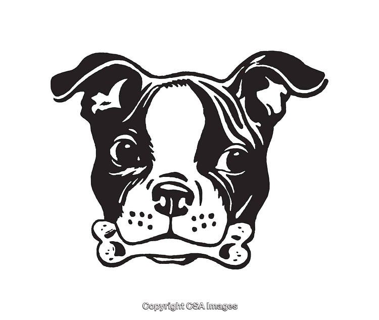 Black and White Boxer Dog Line Art with Bone Detail