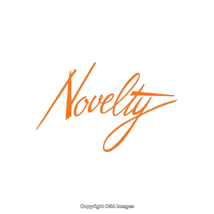 Elegant Calligraphy of the Word 'Novelty' in Bright Orange on White