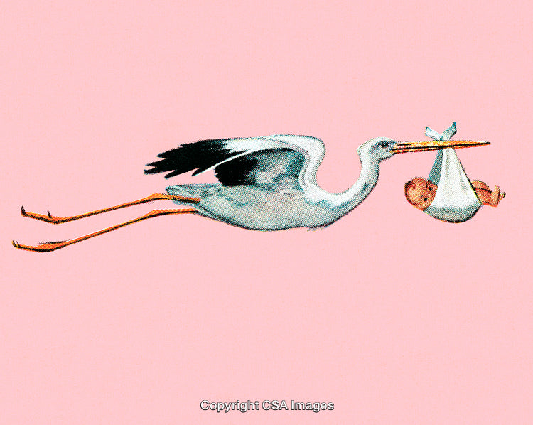 Vintage Illustration of a Flying Stork Carrying a Newborn Baby
