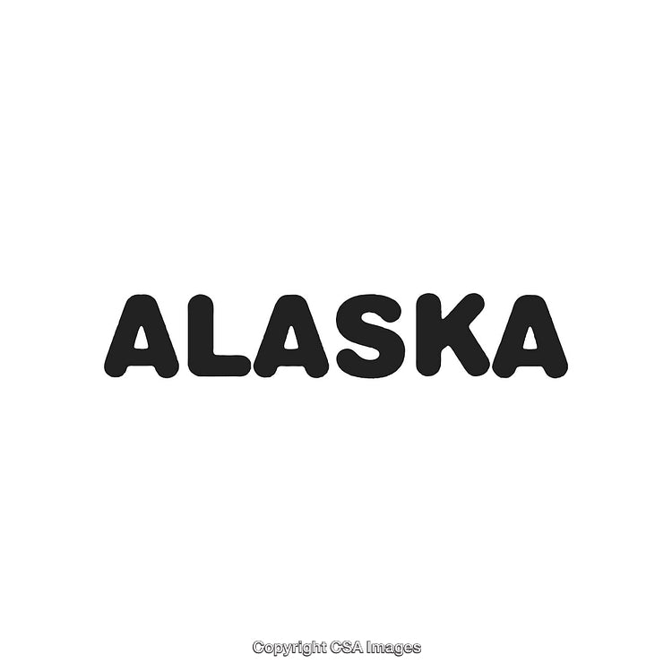 Black Block Stylized 'Alaska' Text on a White Background