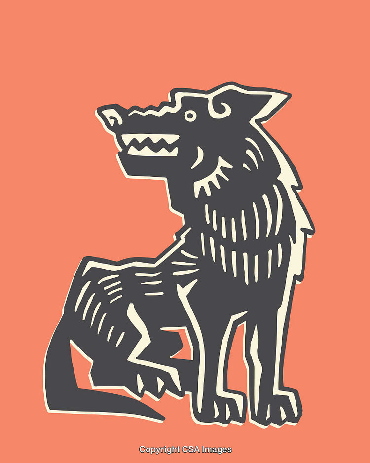 Stylized Line Art Illustration of a Wolf on an Orange Background
